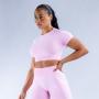 Svijetlo Roze Roze